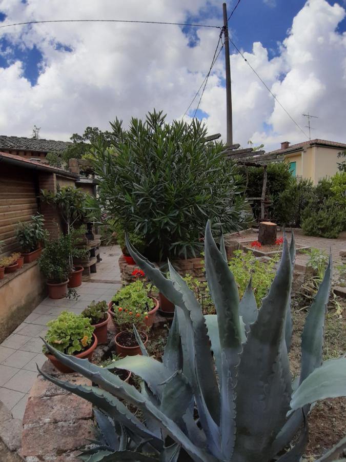 La Casa In Giardino Hotel Volterra Buitenkant foto